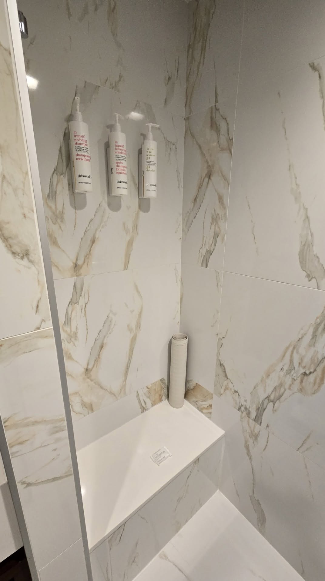 Wall-mounted thisworks bath amenities above the shower bench