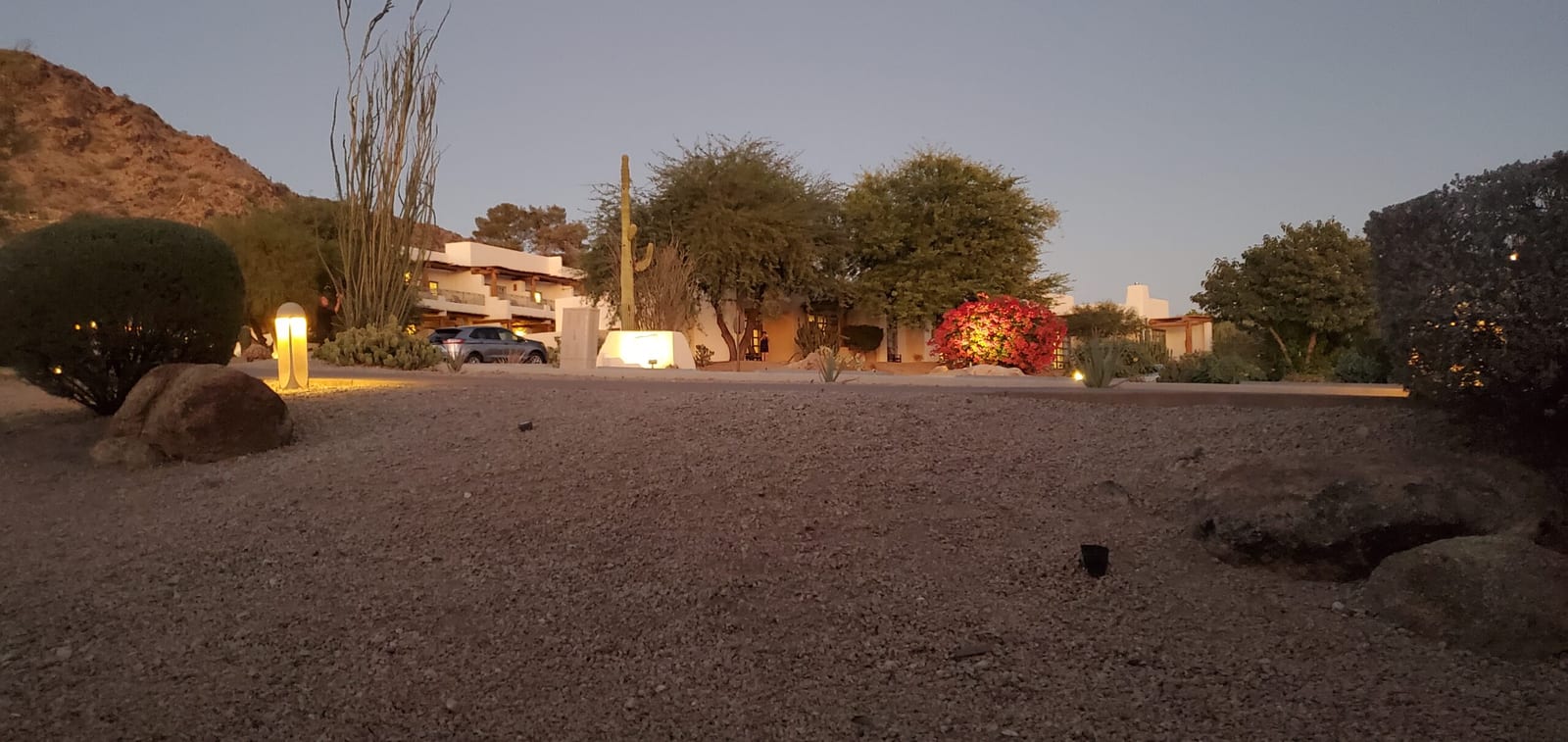 Evening illumination of saguaro cacti and casita pathways