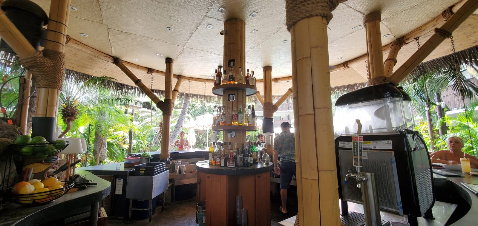 HeyDay Bar at White Sands Hotel with Bar Swings