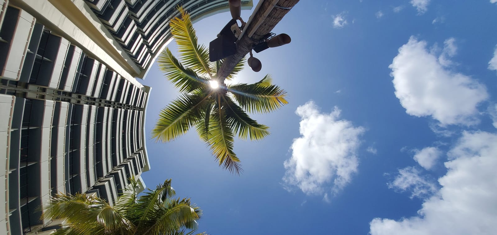 Sheraton Waikiki Beach Resort - Photo 9